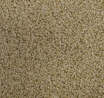 Ковролин Vorwerk Exclusive1009/Elara 8g82 фото 1 | FLOORDEALER